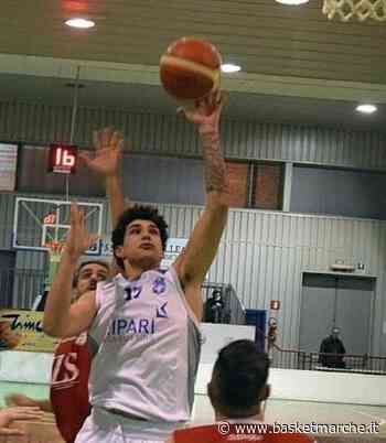 La Sunshine Vieste non si ferma: ufficiale l'arrivo dell'ala forte Federico Manfrè - C Gold Puglia - Basketmarche.it