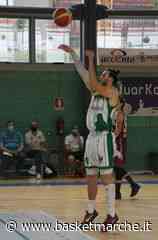 La Vigor Matelica non si ferma: ufficiale l'arrivo dell'ala Alberto Provvidenza - Serie C Gold - Basketmarche.it