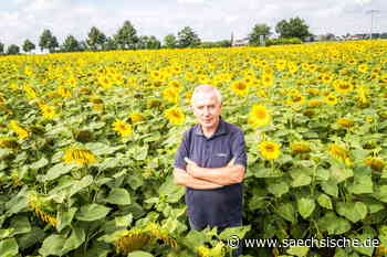 Riesa: "Ein besseres, aber noch kein normales Jahr für die Landwirtschaft" - Sächsische.de