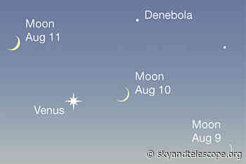 This Week's Sky at a Glance, August 6 – 14