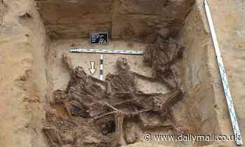 Skeletal remains at Sobibór death camp identified as Ashkenazi Jews