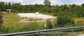 Ablehnung von Bebauung in der Daxerau – Investor schließt Klage nicht aus - Traunsteiner Tagblatt