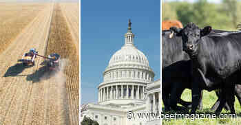 7 ag stories you might have missed this week