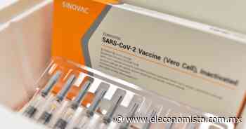 6 de cada 10 personas vacunadas con Sinovac están libres de contraer Covid-19 sintomático: estudio - El Economista