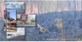 Ardea, “Le Salzare”. Discarica abusiva, fiamme e fumi di rifiuti tossici. Una costante negativa del litorale Ardeatino - MeridianaNotizie