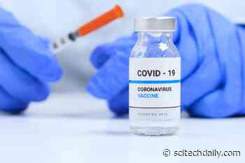 Stanford Research Shows Why Second Dose of COVID-19 Vaccine Shouldn’t Be Skipped