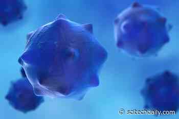 Immune Cells Assemble: Boosting Chemotherapy Effects in Pancreatic Cancer