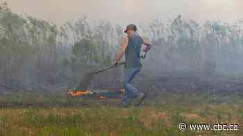 Indigenous cultural burning can boost biodiversity, help fight forest fires: Canadian study
