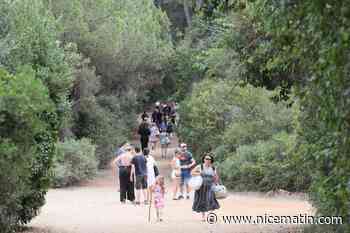 Les 5 actions mises en place pour préserver l'Île de St-Marguerite