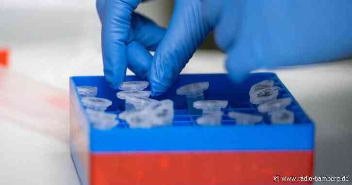 Freie Wähler fordern weiterhin kostenlose Corona-Tests