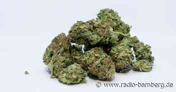 Drogenfahnder schlagen in den Haßbergen zu!