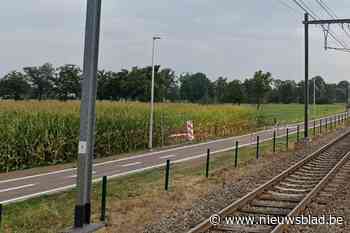Aannemer herstelt grachten naast fietsostrade