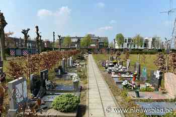 Niel start op begraafplaats met aanleg sterrenweide
