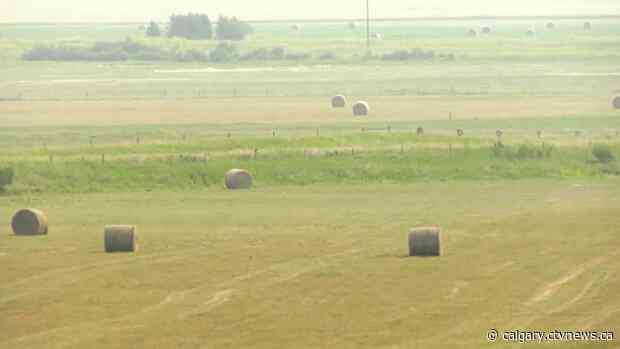 Kenney to announce further supports for Alberta agriculture producers at 12:30 p.m.