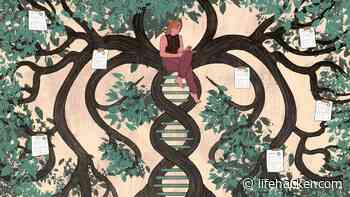 Why You Should Learn Your Family Medical History (and How to Find It) - Lifehacker