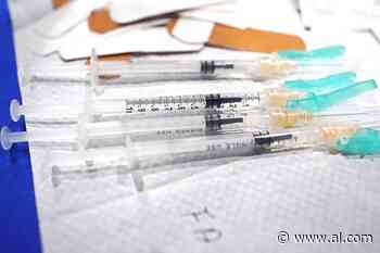 Alabama medical association to host live Q&A today about vaccines, pregnancy - AL.com