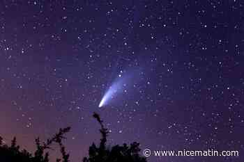 Des astronomes amateurs antibois ont découvert une comète: voici comment ils s'y sont pris