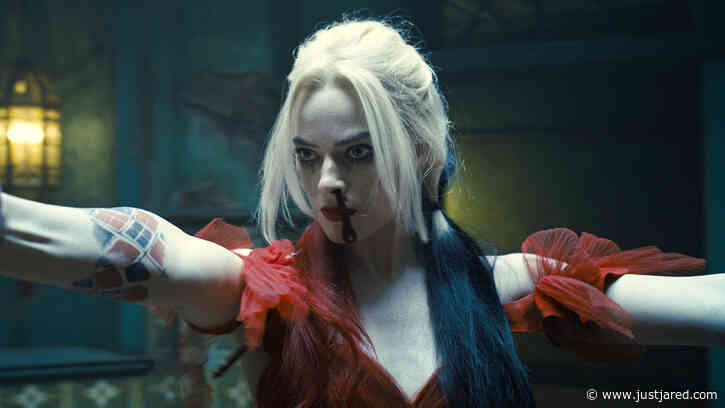 Margot Robbie Talks About Future of Harley Quinn in DC Movies: Is She Done?!