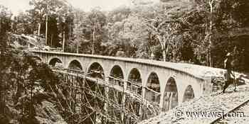 ‘In the Forest of No Joy’ Review: Blood on the Tracks - The Wall Street Journal