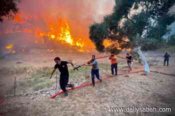 'Informing people key to fighting disinformation amid forest fires' | Daily Sabah - Daily Sabah