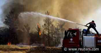 Turkey spent only fraction of forest protection budget before wildfires erupted - Reuters