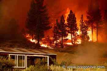 Forest Service changes ‘let it burn’ wildfire policy after criticism from politicians - OregonLive