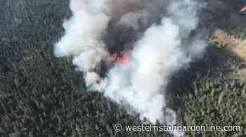 BC extends state of emergency as some claim forest management system may spread wildfires - Western Standard