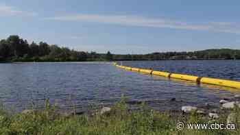 Security stepped up at Mi'kmaw archeology sites as concern over looting grows