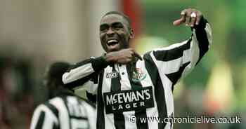 Survey crowns Andy Cole as Newcastle fans' favourite player of the 'Entertainers Era'