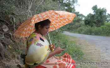 These TN students sit on the roadside near a forest in order to attend online classes - The Hindu