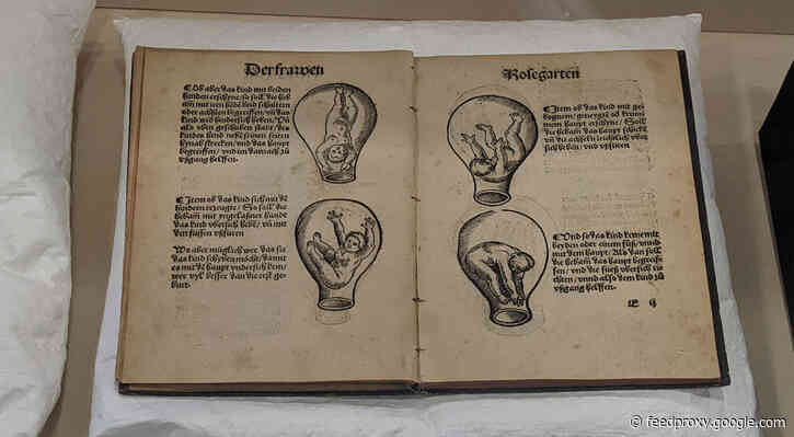 An exhibition of medical curiosities