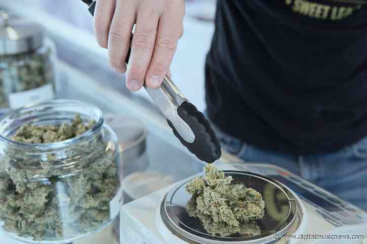 Recreational Marijuana Sales Hit an All-Time High In Illinois Following Lollapalooza