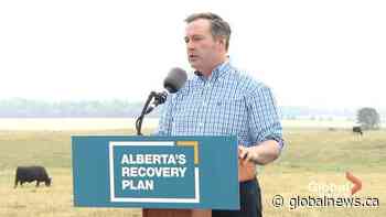 Kenney says Alberta’s job market has ‘pretty much recovered’ from COVID-19 pandemic