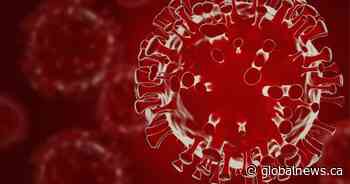 COVID-19: Saskatchewan’s death toll grows by 1, new infections highest in weeks