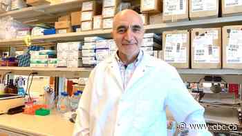 U of A  research identifies protein linked to often-fatal inflammation in COVID-19 patients