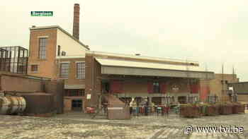 Tongeren en Borgloon fuseren - TV Limburg