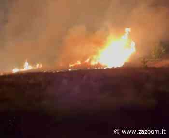 Putignano-Alberobello Incendio domato a tarda sera dai vigili del fuoco - Zazoom Blog
