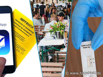 Diese neuen Regeln gelten ab Sonntag im Landkreis Stade - Landkreis Stade - Tageblatt-online