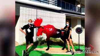 Calgary siblings make Olympic debut in Tokyo pool | Watch News Videos Online - Globalnews.ca