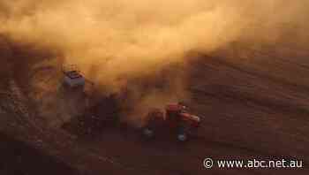 Fertiliser concerns as Chinese factories 'focus' on local market