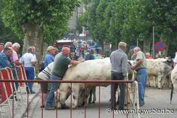 Jaarmarkt gaat door maar dan wel zonder grote tent