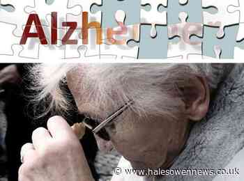 Dudley retains dementia friendly status for another year - Halesowen News