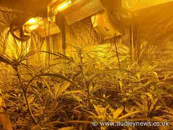 Police bust cannabis farm in Dudley | Dudley News - Dudley News - Dudley News
