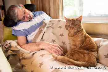 Blackheath cat in national awards final after hospital story