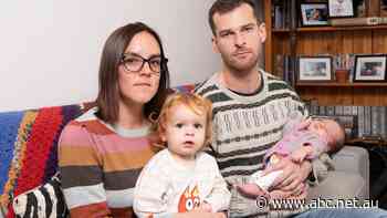 Mould has infested this couple's rental, and they're desperate for a solution