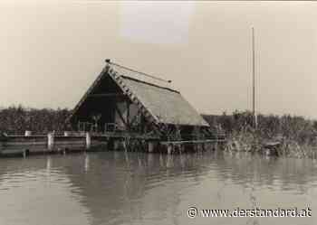 Bauen um den Neusiedler See: Ebbe und Flut in der Steppe - derStandard.at