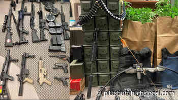 Police Seize Guns, Marijuana Plants In Homewood Bust