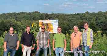 CDU Nidda übernimmt eine Blühpatenschaft - Kreis-Anzeiger