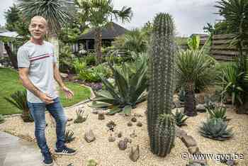 Ronny heeft tropische tuin tussen de dennenbomen: “Ik blijf een Kempenaar in mijn eigen Thailand” - Gazet van Antwerpen