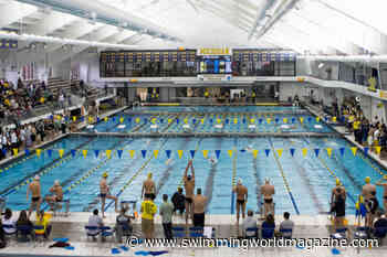 Michigan Finalizes Coaching Staff; Big Ten Diver of Year Ross Todd to Return for Fifth Season - Swimming World Magazine